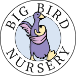 Big Bird Nursery