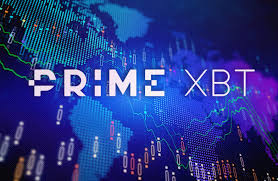 Understanding the Primexbt Download Statement What You Need to Know Understanding the Primexbt Download Statement What You Need to Know